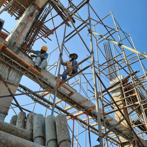 pexels-aravind-p-s-2059574-13890649