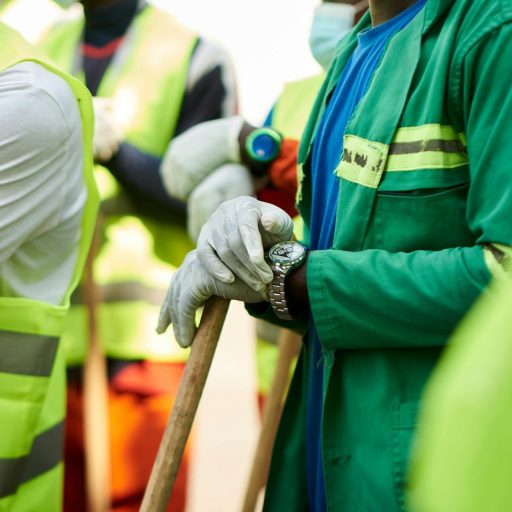 pexels-messina-12491632